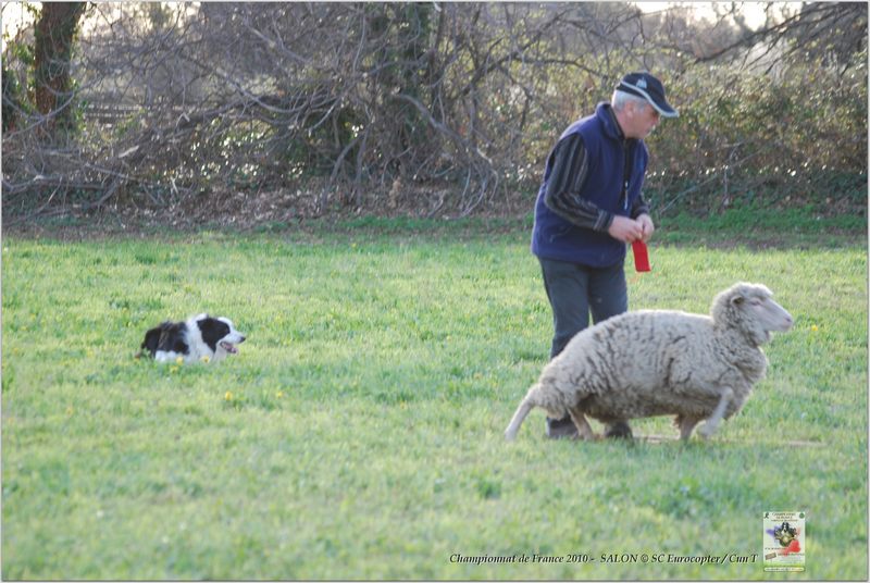 Coste Sarguet_Alto_Samedi_0017w-web.jpg